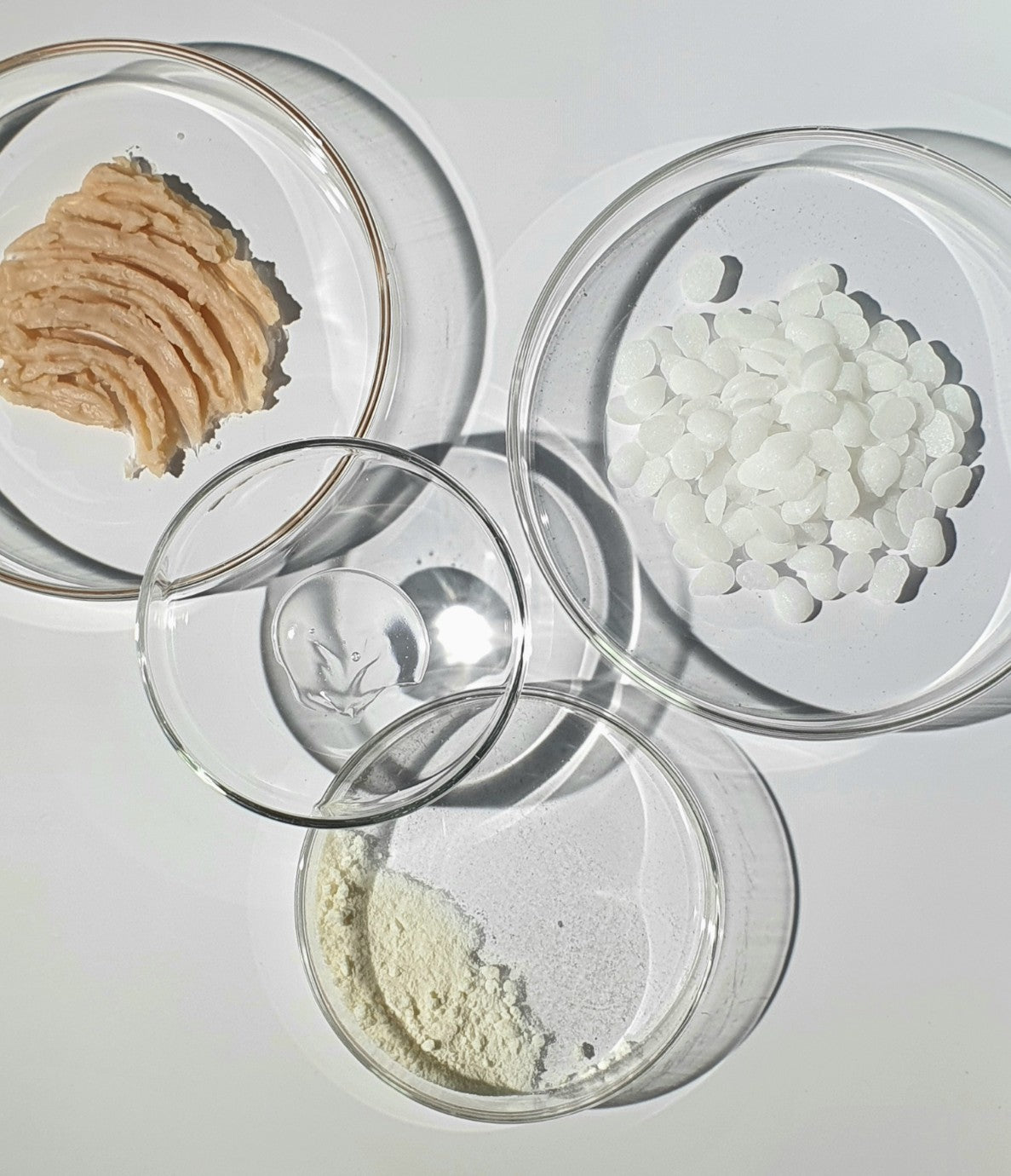 Four petri dishes containing different raw materials for skincare formulation.