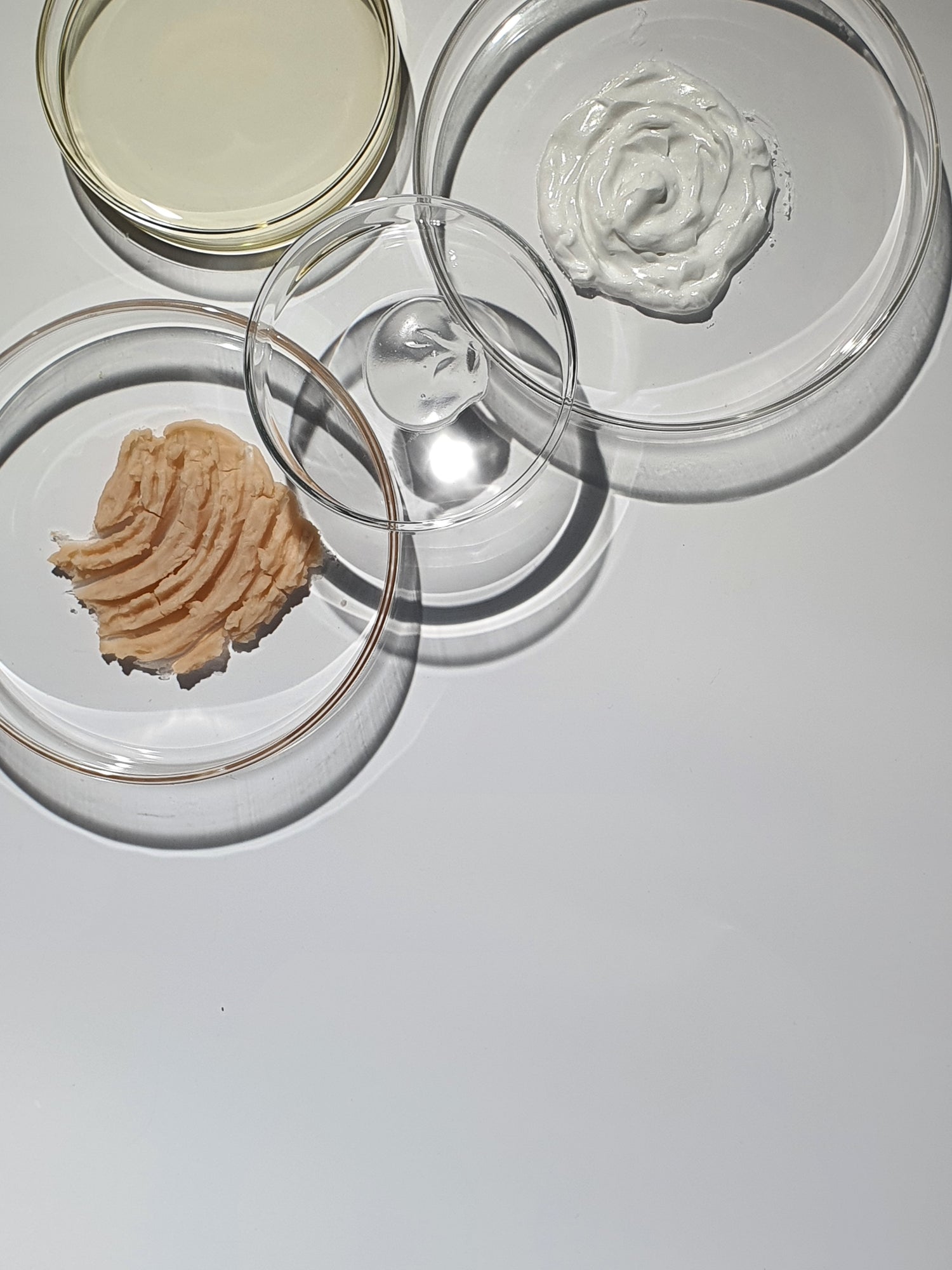 Ingredients for skincare innovation arranged in individual petri dishes.